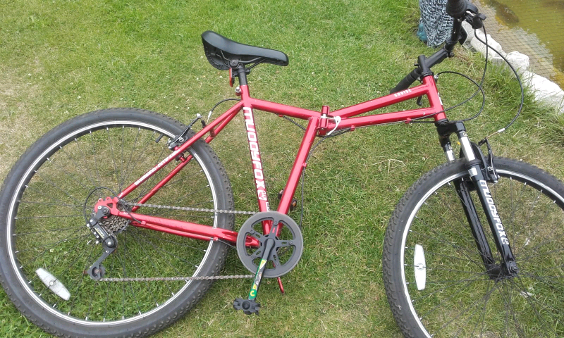 muddyfox cruise folding bike